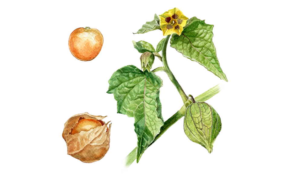 Produktbild 1